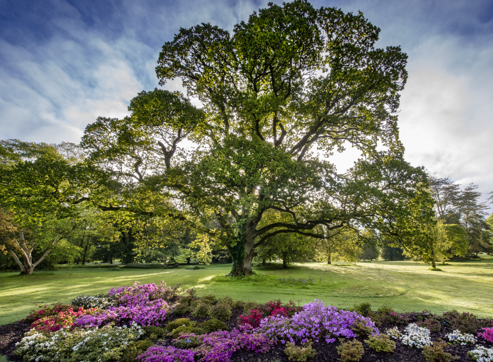 From Dublin: Blarney, Rock of Cashel and Cahir Castles Tour