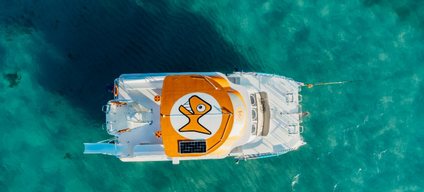 Private Catamaran Charter on the Happy Fish IV