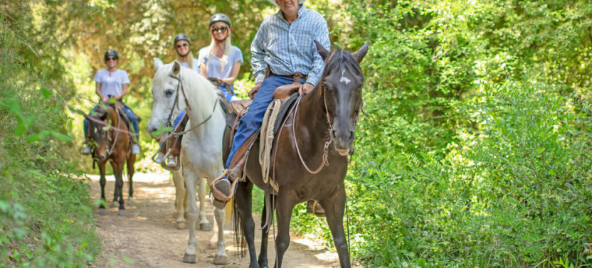 Private Montserrat Monastery & Horse Riding Experience, photo 3 of 9