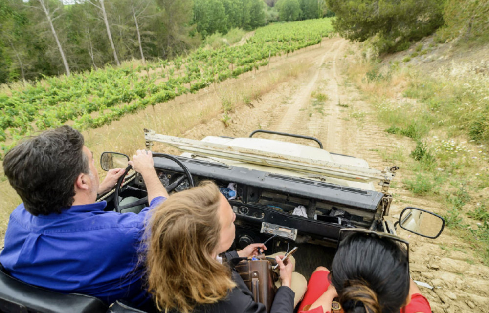 Private Toledo City & 4WD Farm Lunch Tour From Madrid