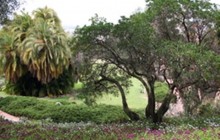 Presidio Park