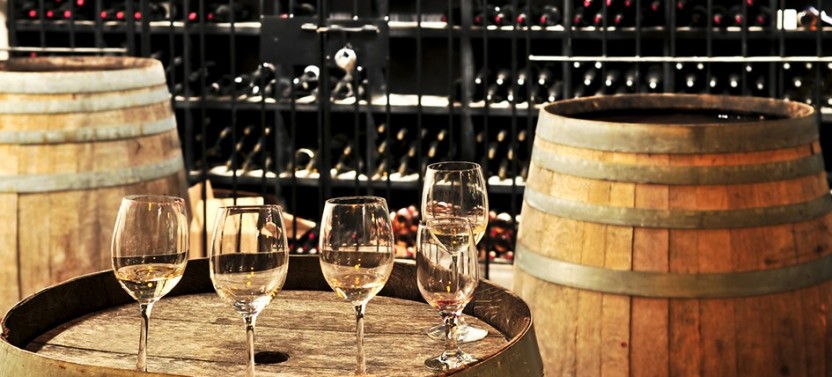 Small Group Cava and Wine Day Trip from Barcelona