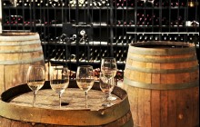 Small Group Cava and Wine Day Trip from Barcelona