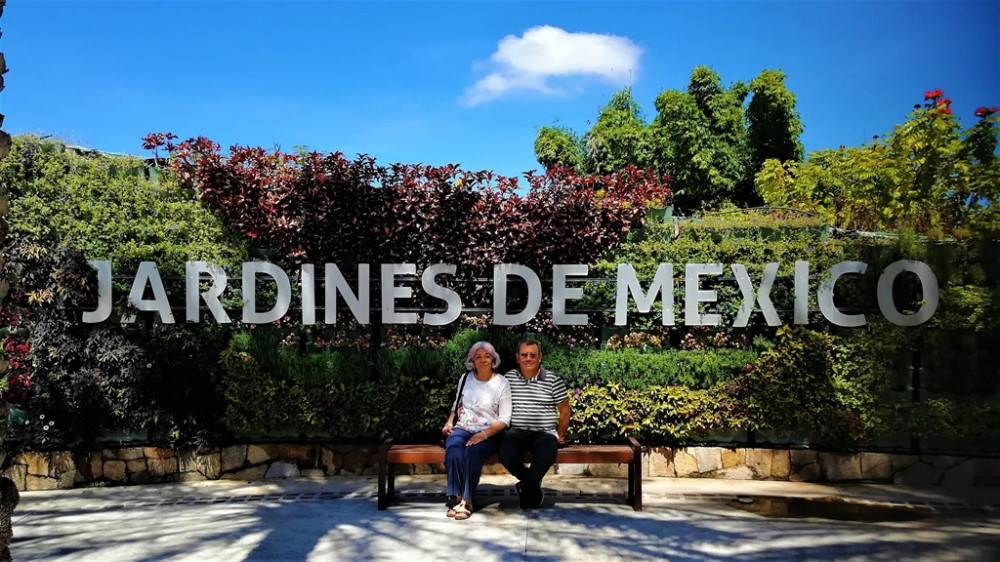 Tour Mexico City: Explore Mexican Gardens and Charming Tepoztlan Town