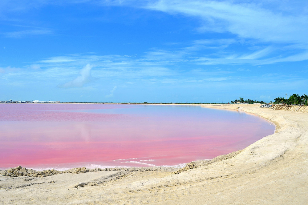 Rio Lagartos Tour: Picture the Wondeful Pink Waters and Boat Ride