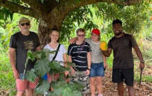 Vanuatu Ecotours2