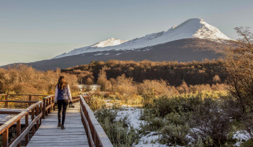 A picture of Argentina Highlights - 12 Days