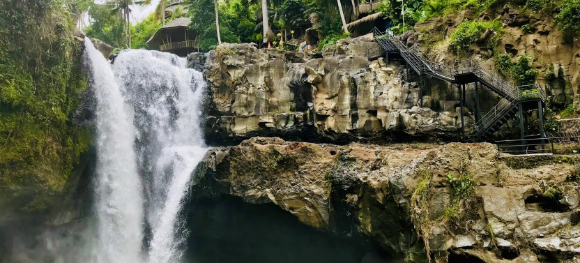 Ubud Monkey - Jungle Swing - Rice Terrace - Temple and Waterfall