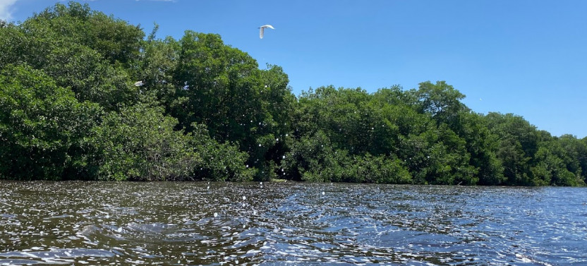 Cienaga Grande de Santa Marta