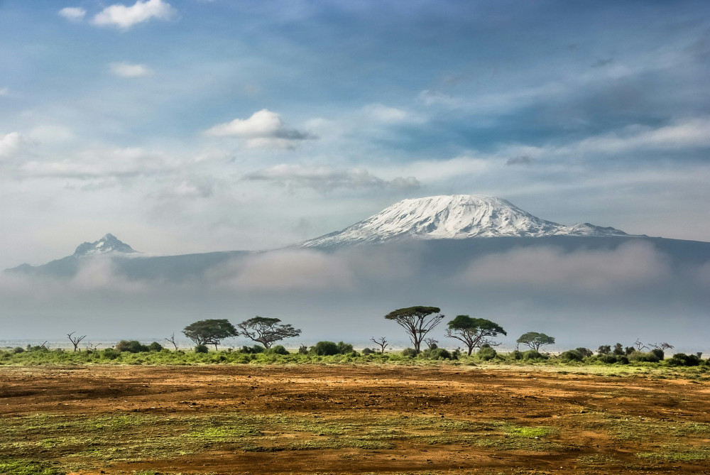 Dav Safaris