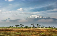 Dav Safaris19