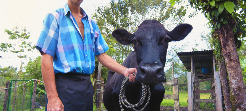 Campesino Farm Experience Traditional Costa Rican Tour