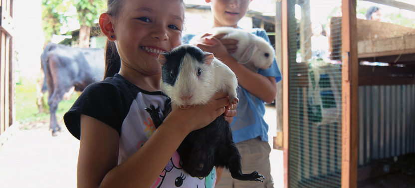 Campesino Farm Experience Traditional Costa Rican Tour