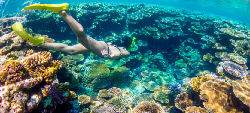 Private Sail & Snorkel Boat Charter - Custom Built, Open Air Catamaran