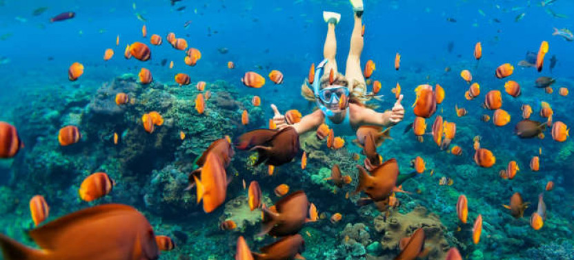 Sailing and Snorkeling Adventure on a Catamaran