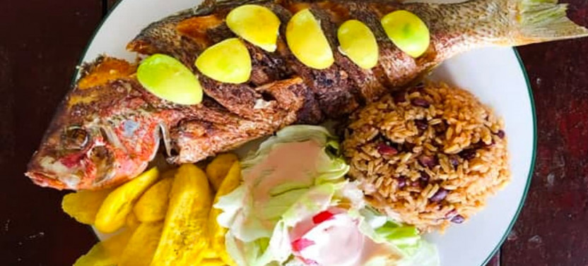 Roatan 5 Hours Adventure ATV, Food Tasting & Beach