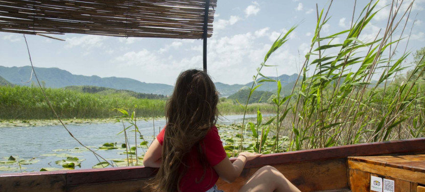 Kotor Tour: Skadar Lake Boat Experience & Budva Old Town