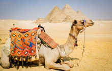 Egypt Gift Tours4