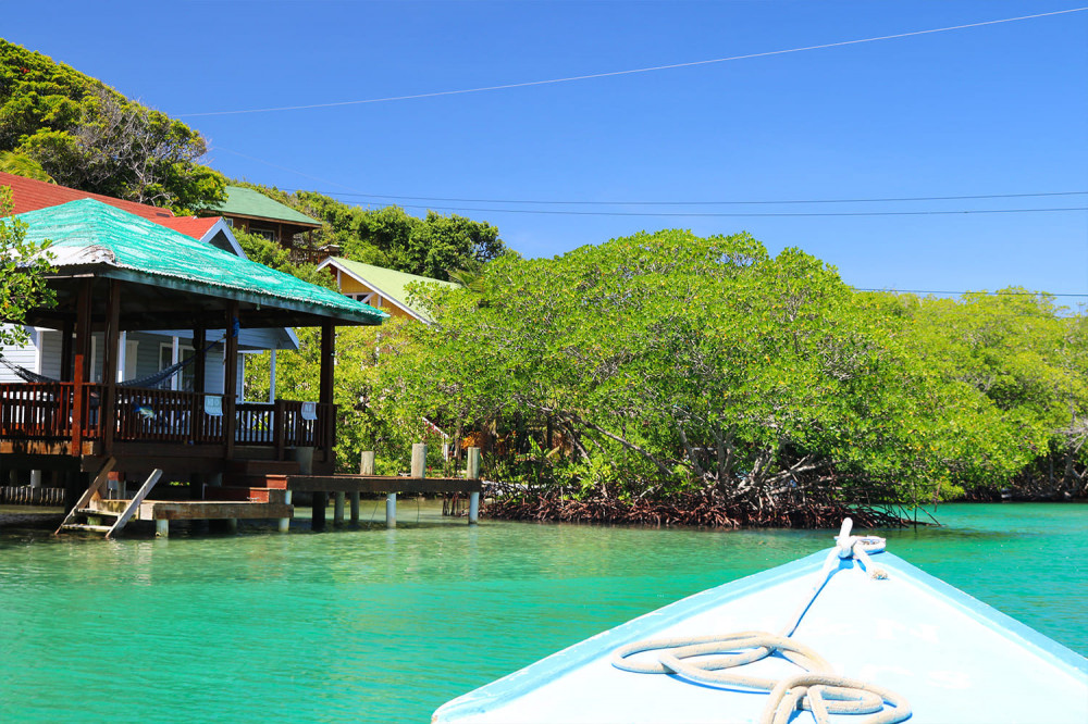 Shore Excursion: East End Tour With Mangrove Cruise & Lunch