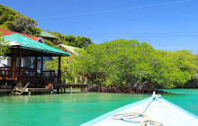 Roatan Henry tour1