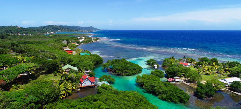Roatan island tour, food tasting, Monkeys & sloth hang out and beach