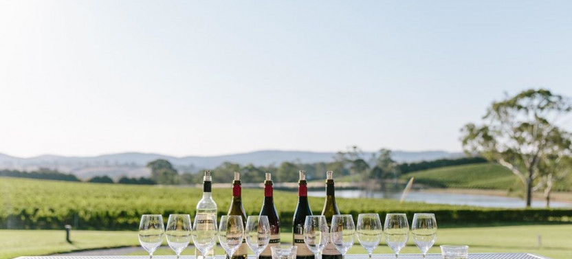 Adelaide Hills Wine Experience - Private Day Tour