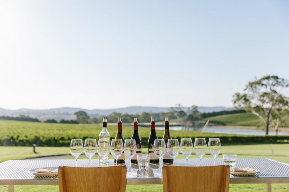 Adelaide Hills Wine Experience - Private Day Tour