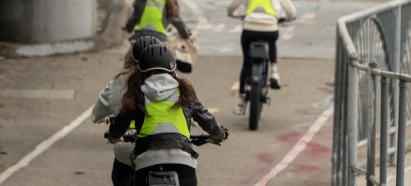 Eastside Express E-Bike Tour: Elysian Park, Frogtown, LA River, Go Dodgers!