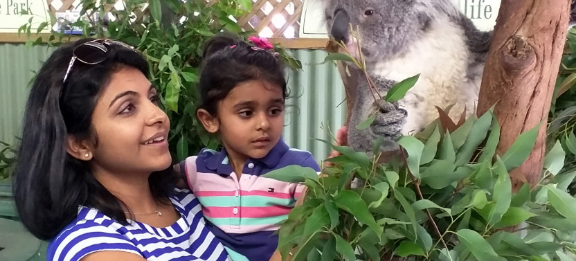 Sydney Wild Kangaroos and River Cruise Private Tour