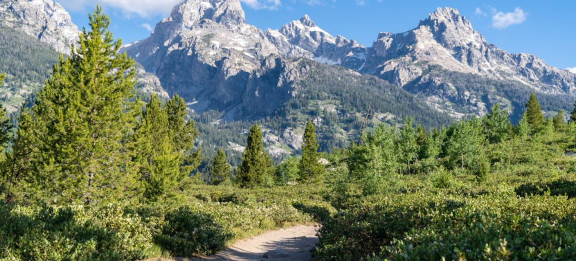 Yellowstone, Glacier & Grand Teton Self-Guided Driving Tours Bundle