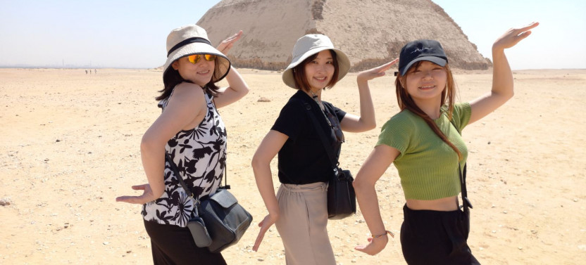 Sakkara and Dahshur Pyramids with Memphis