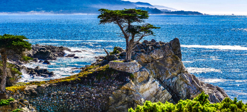Scenic 17-Mile Drive Tour - Self Drive Audio Guide from Monterey