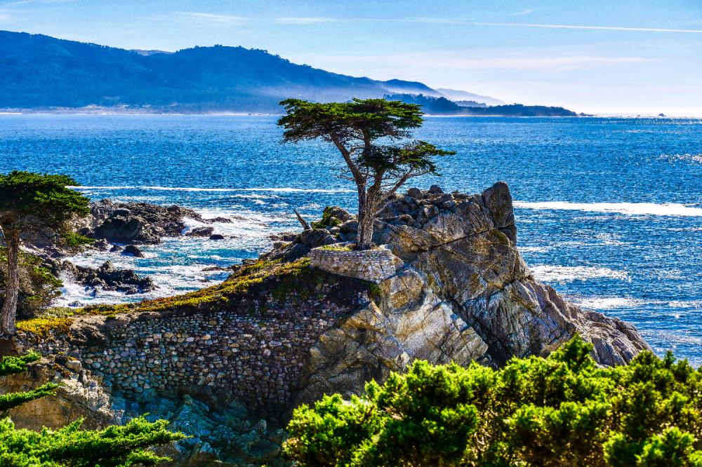 Scenic 17-Mile Drive Tour - Self Drive Audio Guide from Monterey