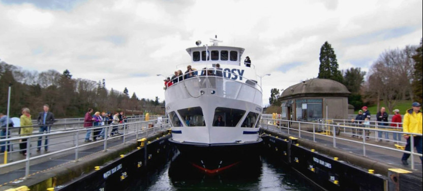 City Sightseeing 24/48HR Hop On Hop Off Bus Tour Seattle + Locks Cruise