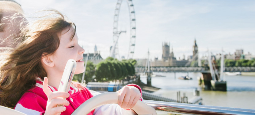 Big Bus Tours - Essential Ticket (48 Hours)