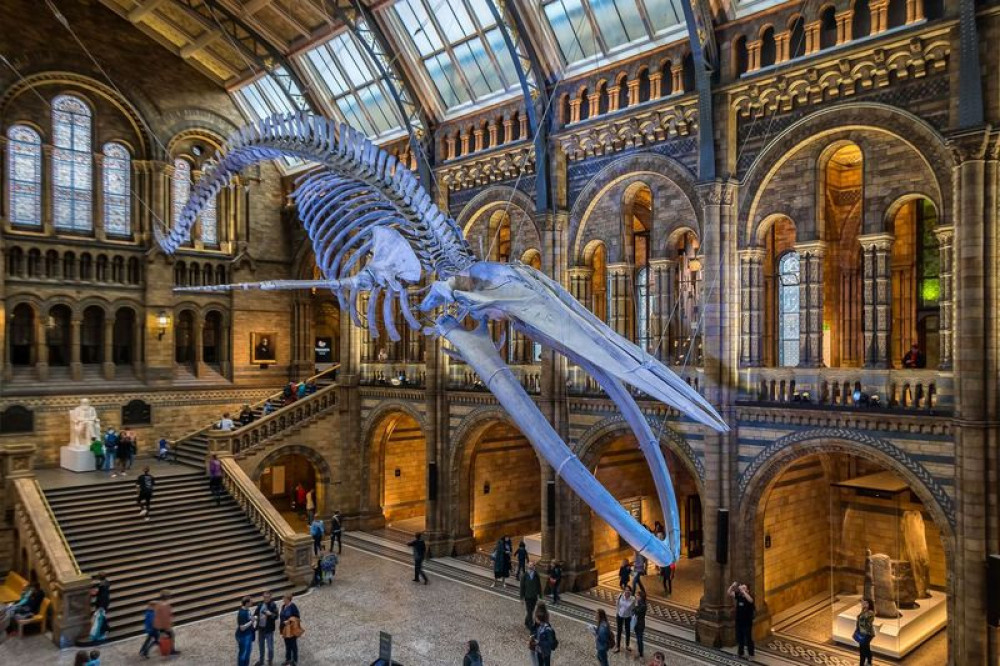 Small Group Guided Tour: London Natural History Museum