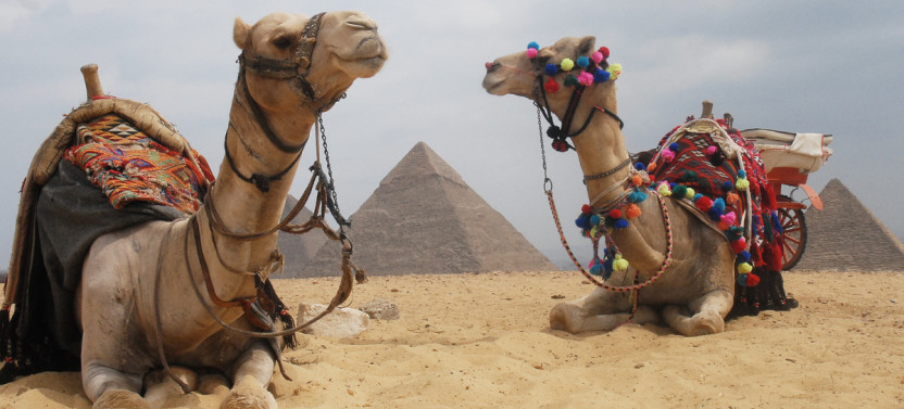 Private 2-Day Tour: Cairo & Alexandria Highlights