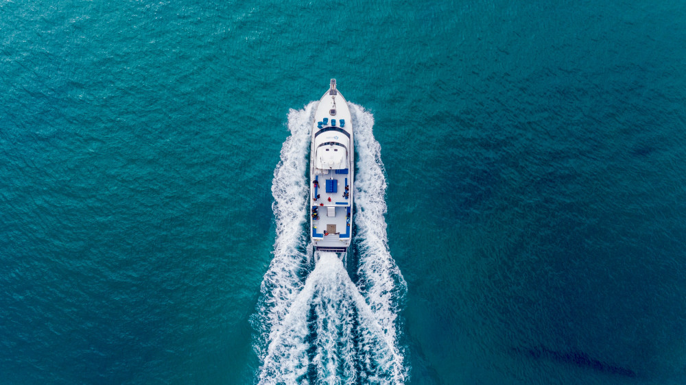 Moonraker Dolphin Swims