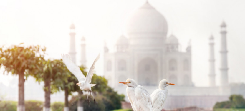 Private Tour: Agra Taj By Gatimaan Express Train