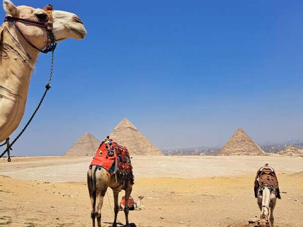 Vip Cart Pyramids VIP Giza Pyramids by Golf Cart & Grand Egyptian Museum Experience ...