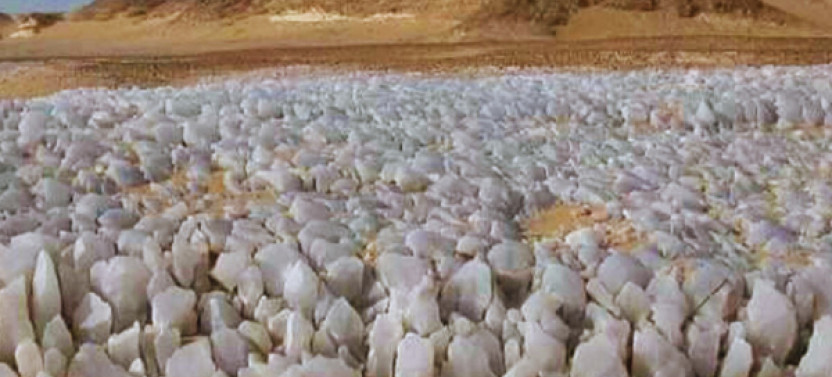 Explore Bahariya Oasis in 2 Days