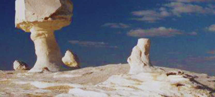 Explore Bahariya Oasis in 2 Days