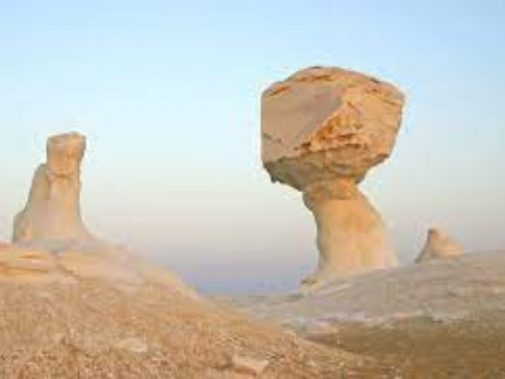 Explore Bahariya Oasis i 2 days