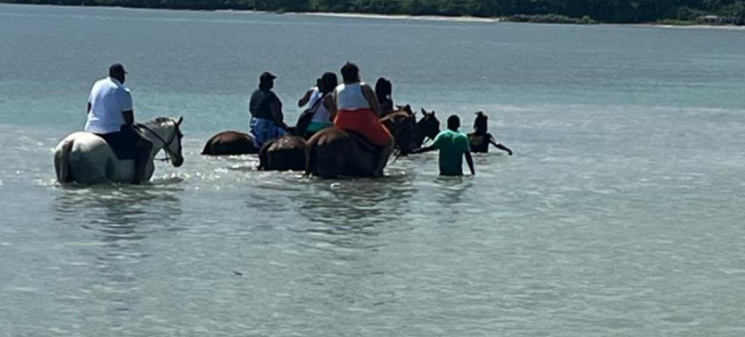 Horseback Riding in the Ocean from Ocho Rios & Runaway Bay