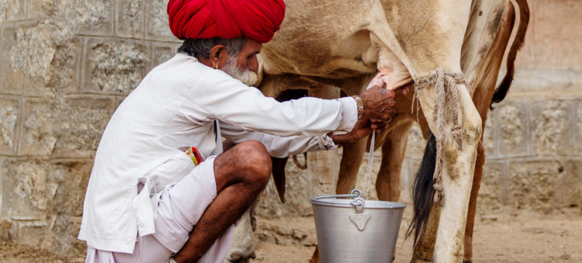 12 Day Adventurous Rajasthan Tour India