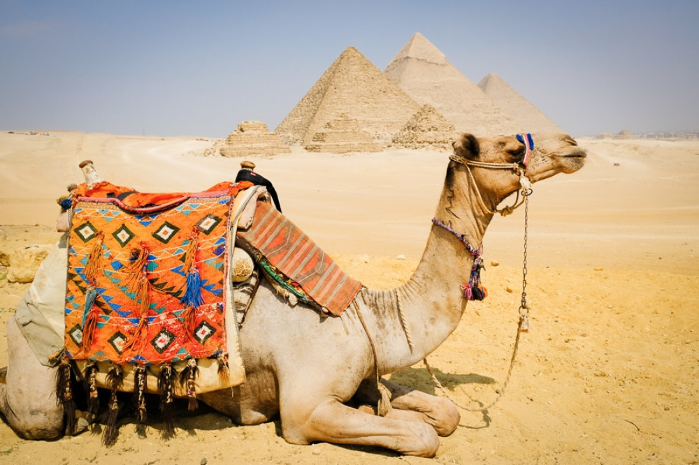 6 Day Egypt- Cairo Pyramids, 4 Day Cruise Aswan to Luxor by Sleeper Train