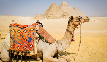 A picture of 6 Day Egypt- Cairo Pyramids, 4 Day Cruise Aswan to Luxor by Sleeper Train