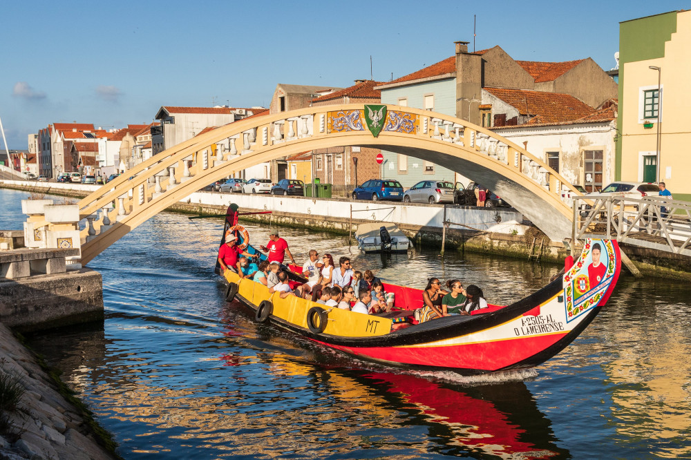 Aveiro & Costa Nova Half Day Tour from Porto