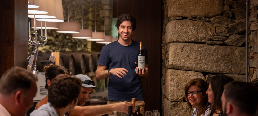 Small Group Douro Valley Wine Tour From Porto