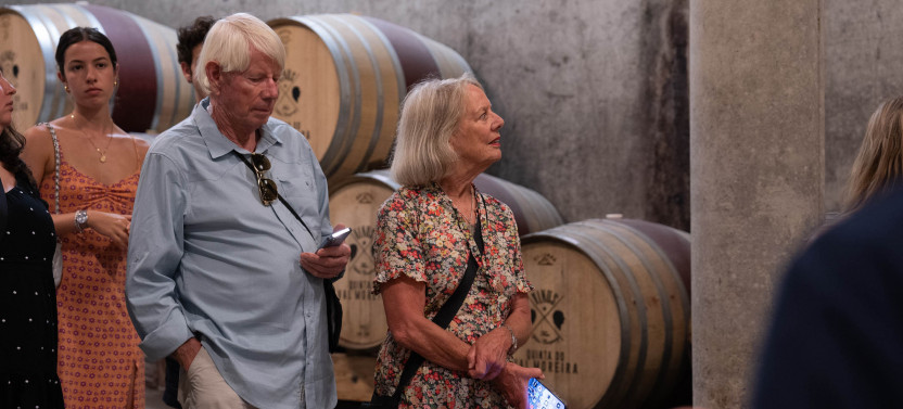 Small Group Douro Valley Wine Tour From Porto